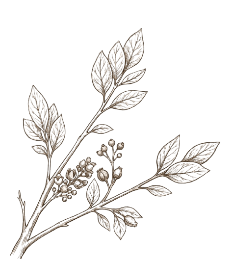 Decorative background leaves